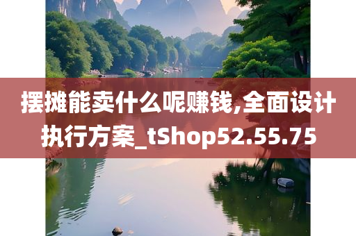 摆摊能卖什么呢赚钱,全面设计执行方案_tShop52.55.75