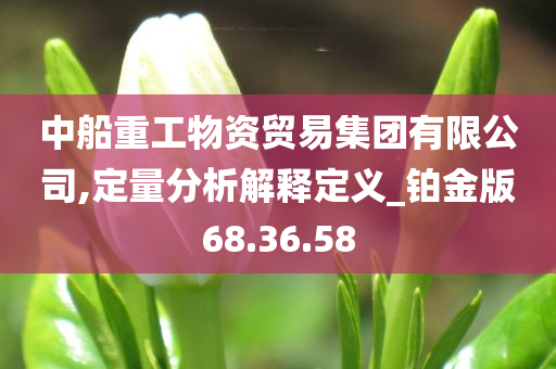 中船重工物资贸易集团有限公司,定量分析解释定义_铂金版68.36.58