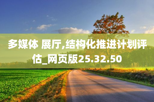 多媒体 展厅,结构化推进计划评估_网页版25.32.50