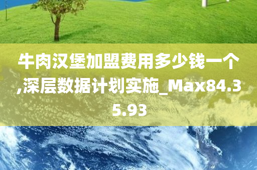 牛肉汉堡加盟费用多少钱一个,深层数据计划实施_Max84.35.93