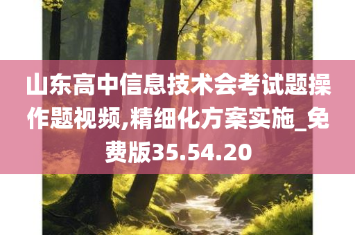 山东高中信息技术会考试题操作题视频,精细化方案实施_免费版35.54.20