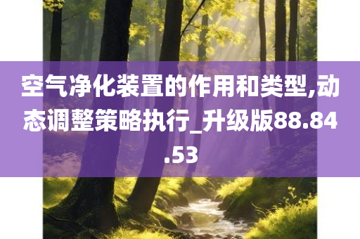 空气净化装置的作用和类型,动态调整策略执行_升级版88.84.53