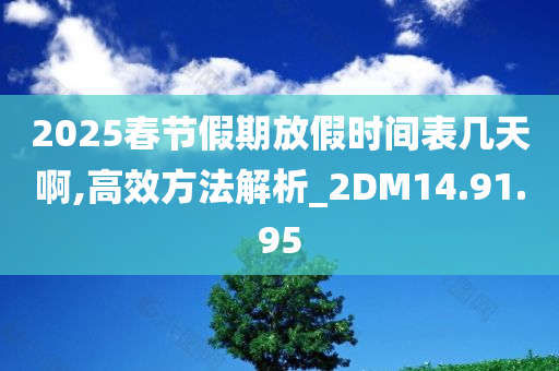 2025春节假期放假时间表几天啊,高效方法解析_2DM14.91.95