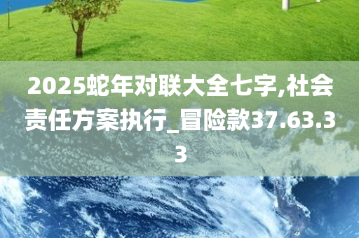 2025蛇年对联大全七字,社会责任方案执行_冒险款37.63.33