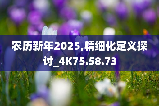 农历新年2025,精细化定义探讨_4K75.58.73