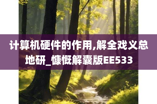 计算机硬件的作用,解全戏义总地研_慷慨解囊版EE533