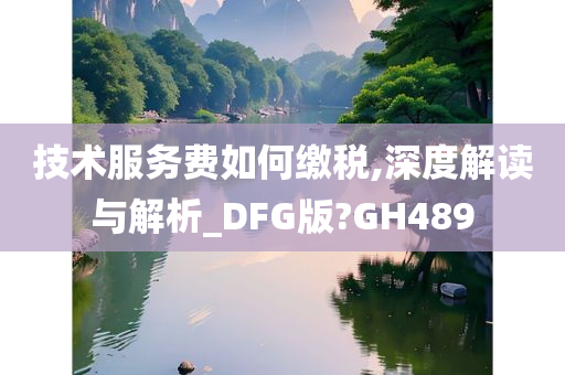 技术服务费如何缴税,深度解读与解析_DFG版?GH489