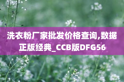 洗衣粉厂家批发价格查询,数据正版经典_CCB版DFG56