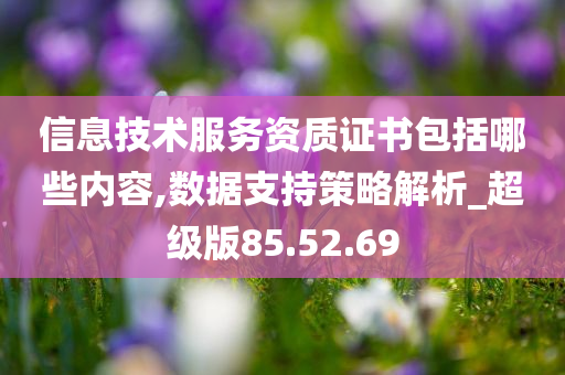 信息技术服务资质证书包括哪些内容,数据支持策略解析_超级版85.52.69