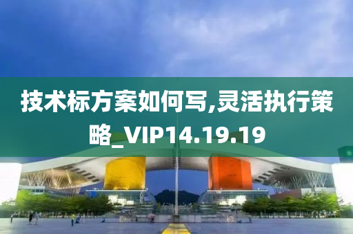 技术标方案如何写,灵活执行策略_VIP14.19.19