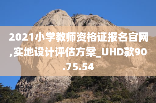 2021小学教师资格证报名官网,实地设计评估方案_UHD款90.75.54