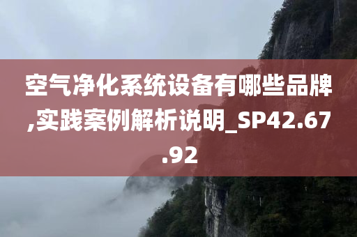 空气净化系统设备有哪些品牌,实践案例解析说明_SP42.67.92