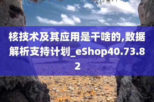 核技术及其应用是干啥的,数据解析支持计划_eShop40.73.82