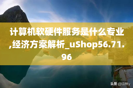 计算机软硬件服务是什么专业,经济方案解析_uShop56.71.96