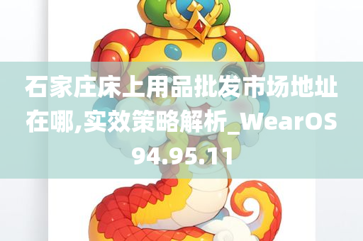 石家庄床上用品批发市场地址在哪,实效策略解析_WearOS94.95.11