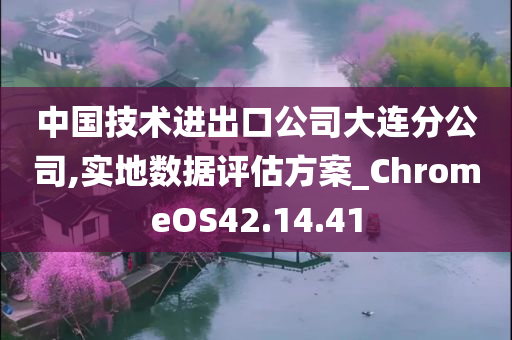 中国技术进出口公司大连分公司,实地数据评估方案_ChromeOS42.14.41