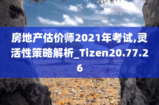 房地产估价师2021年考试,灵活性策略解析_Tizen20.77.26