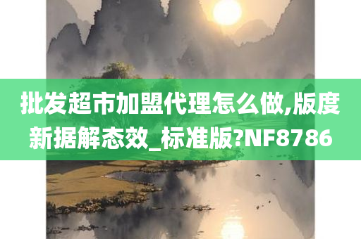 批发超市加盟代理怎么做,版度新据解态效_标准版?NF8786