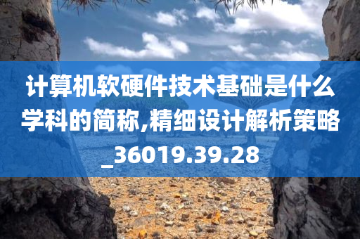 计算机软硬件技术基础是什么学科的简称,精细设计解析策略_36019.39.28