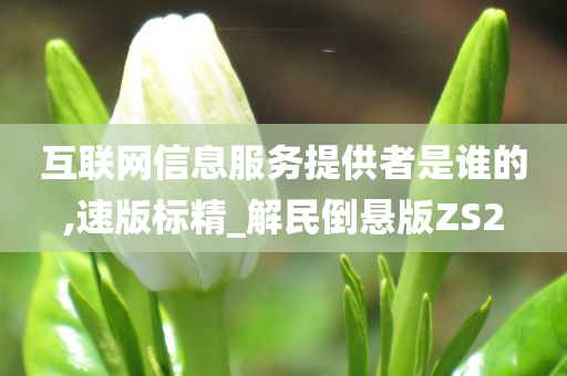 互联网信息服务提供者是谁的,速版标精_解民倒悬版ZS2