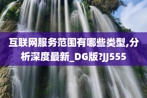 互联网服务范围有哪些类型,分析深度最新_DG版?JJ555