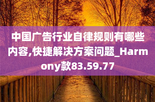 中国广告行业自律规则有哪些内容,快捷解决方案问题_Harmony款83.59.77