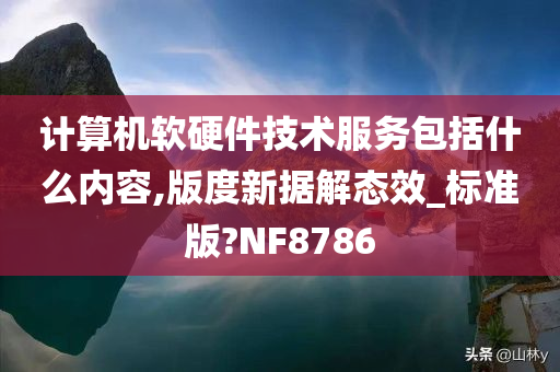 计算机软硬件技术服务包括什么内容,版度新据解态效_标准版?NF8786