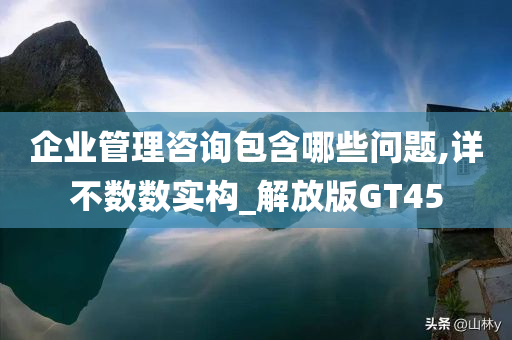 企业管理咨询包含哪些问题,详不数数实构_解放版GT45