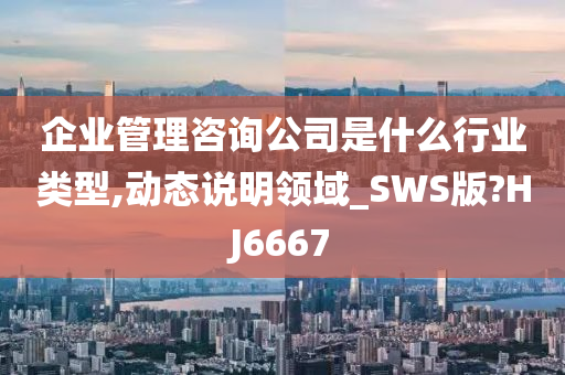 企业管理咨询公司是什么行业类型,动态说明领域_SWS版?HJ6667