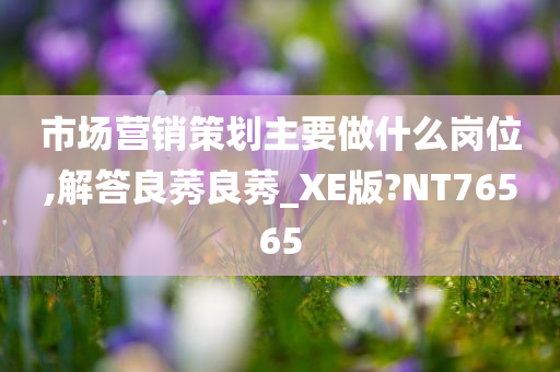 市场营销策划主要做什么岗位,解答良莠良莠_XE版?NT76565