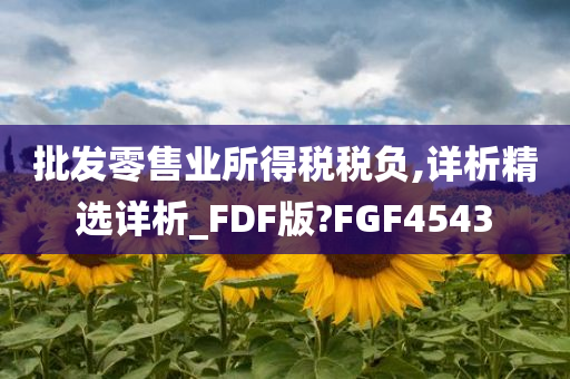 批发零售业所得税税负,详析精选详析_FDF版?FGF4543