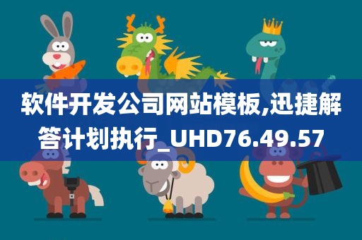 软件开发公司网站模板,迅捷解答计划执行_UHD76.49.57