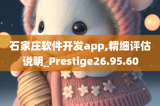 石家庄软件开发app,精细评估说明_Prestige26.95.60