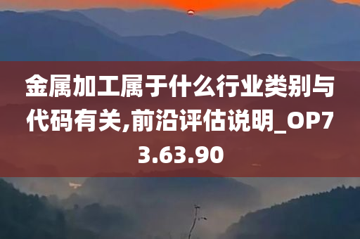 金属加工属于什么行业类别与代码有关,前沿评估说明_OP73.63.90