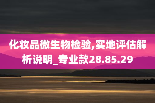 化妆品微生物检验,实地评估解析说明_专业款28.85.29