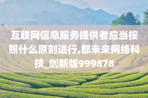 互联网信息服务提供者应当按照什么原则进行,郡未来网络科技_创新版999878