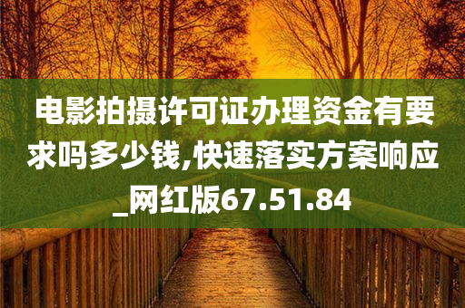 电影拍摄许可证办理资金有要求吗多少钱,快速落实方案响应_网红版67.51.84