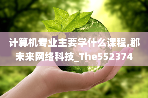 计算机专业主要学什么课程,郡未来网络科技_The552374