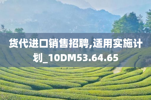 货代进口销售招聘,适用实施计划_10DM53.64.65