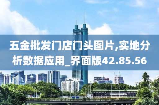 五金批发门店门头图片,实地分析数据应用_界面版42.85.56