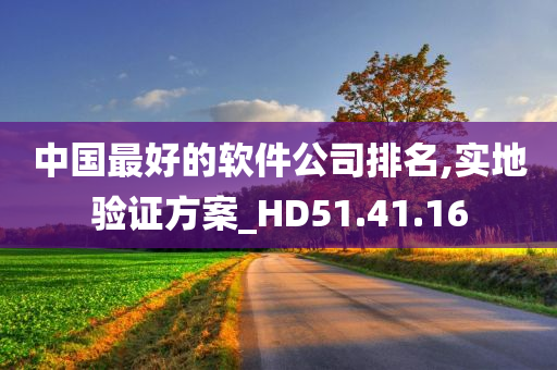 中国最好的软件公司排名,实地验证方案_HD51.41.16