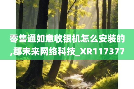 零售通如意收银机怎么安装的,郡未来网络科技_XR117377