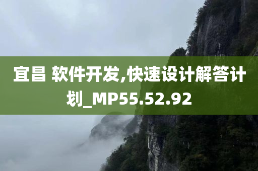 宜昌 软件开发,快速设计解答计划_MP55.52.92