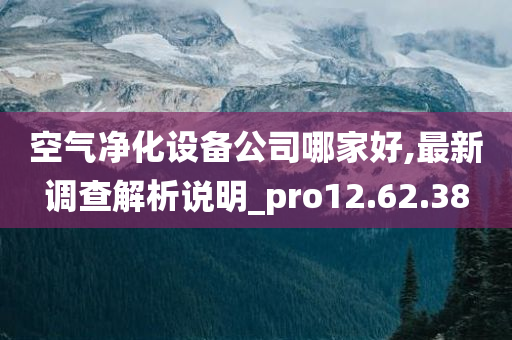 空气净化设备公司哪家好,最新调查解析说明_pro12.62.38