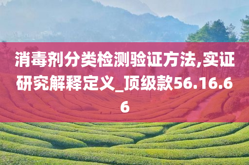 消毒剂分类检测验证方法,实证研究解释定义_顶级款56.16.66