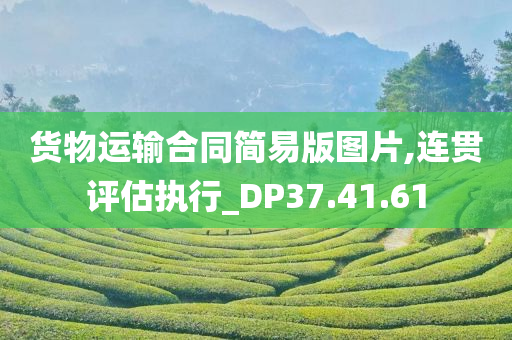 货物运输合同简易版图片,连贯评估执行_DP37.41.61