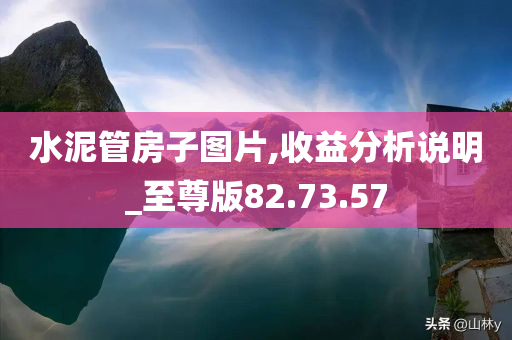 水泥管房子图片,收益分析说明_至尊版82.73.57