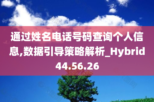 通过姓名电话号码查询个人信息,数据引导策略解析_Hybrid44.56.26