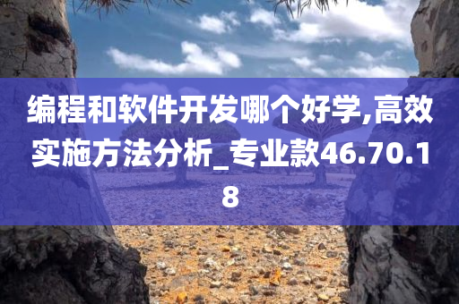 编程和软件开发哪个好学,高效实施方法分析_专业款46.70.18