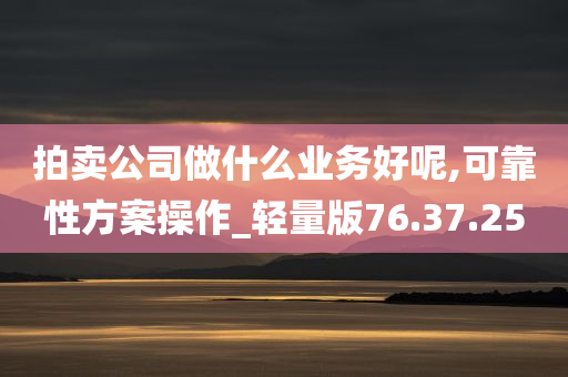 拍卖公司做什么业务好呢,可靠性方案操作_轻量版76.37.25